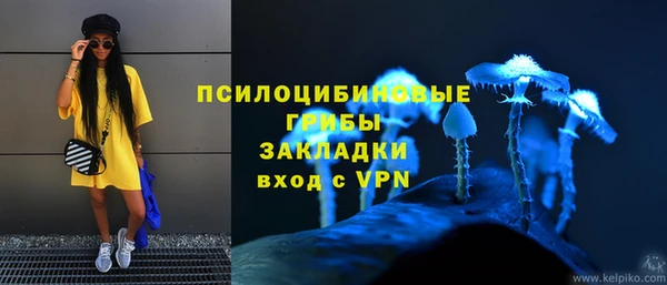 спиды Няндома