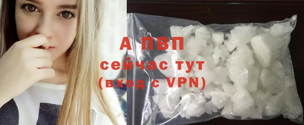 круглые Новодвинск