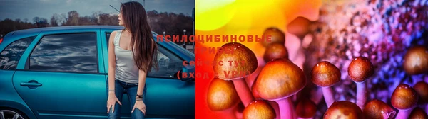 мефедрон мука Новозыбков