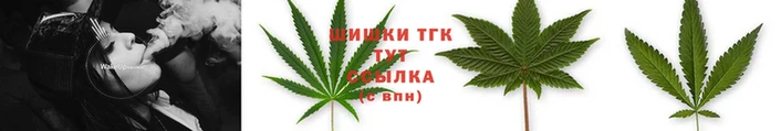 круглые Новодвинск