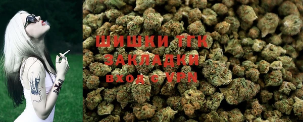 спайс Нягань