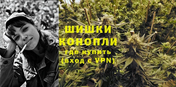 спайс Нягань