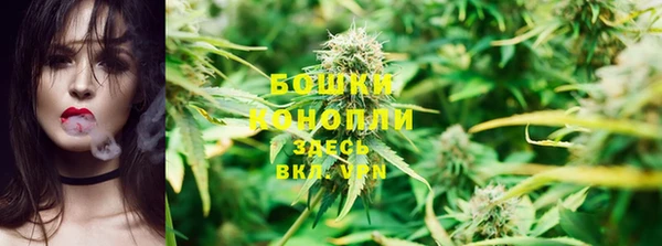 спайс Нягань