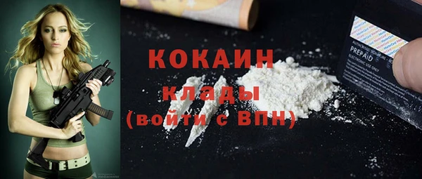 спиды Няндома